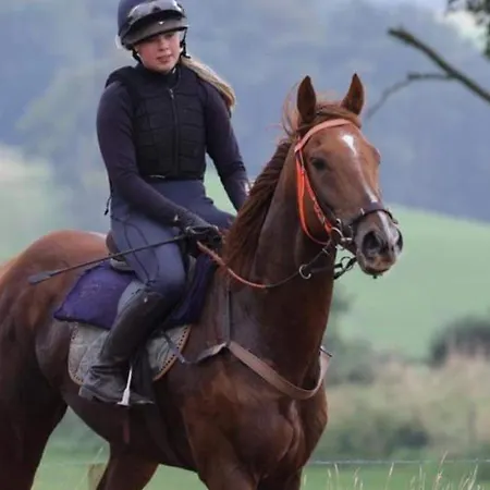 Lejlighed Tarnside *