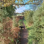 Tarnside *