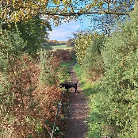 Tarnside *