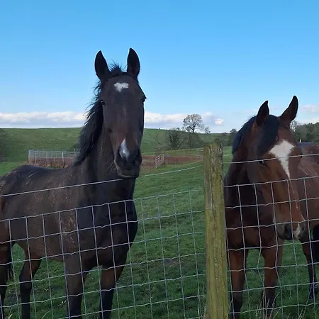 Tarnside アパート