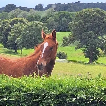 Lägenhet Tarnside Brampton (Cumbria)